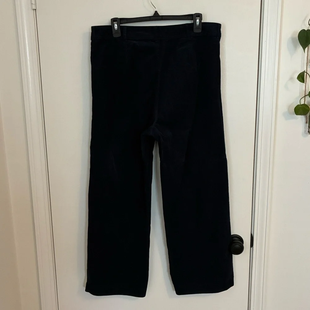 Everlane Navy Blue Corduroy Wide Leg Pants